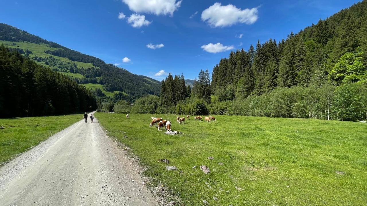 Haizelrock Kirchberg in Tirol Eksteriør billede