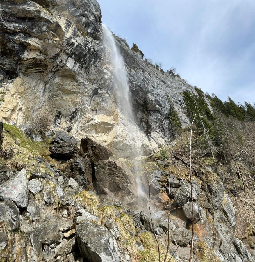 Haizelrock Kirchberg in Tirol Eksteriør billede