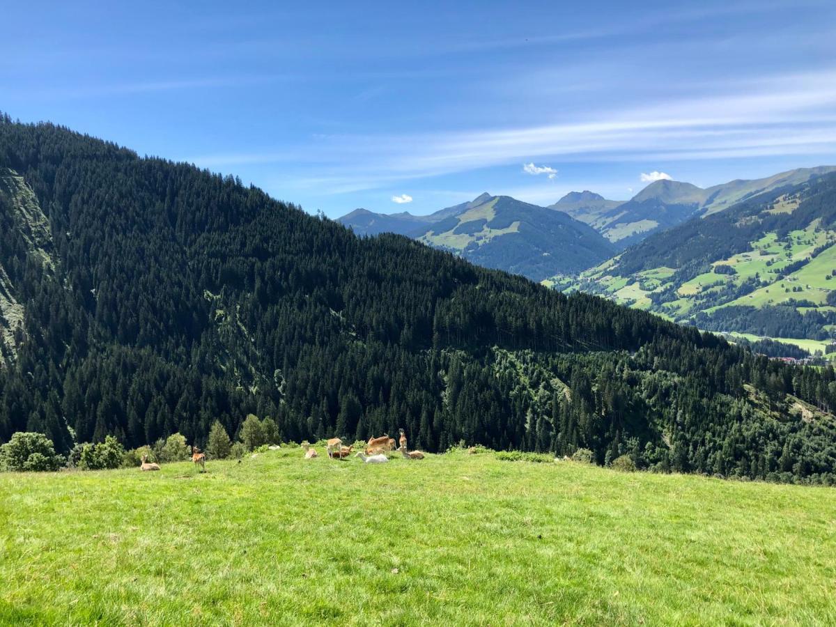 Haizelrock Kirchberg in Tirol Eksteriør billede
