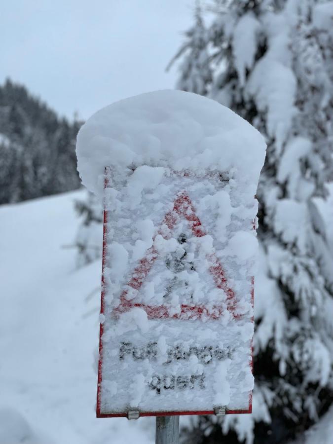Haizelrock Kirchberg in Tirol Eksteriør billede