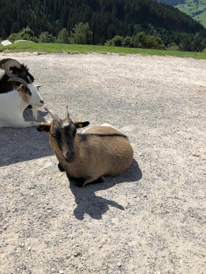 Haizelrock Kirchberg in Tirol Eksteriør billede